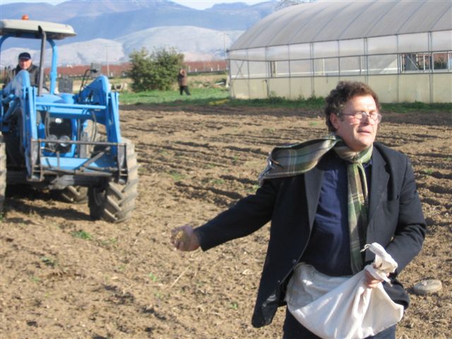 Pignataro Maggiore: un momento della semina