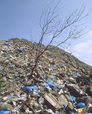 Discarica nel foggiano