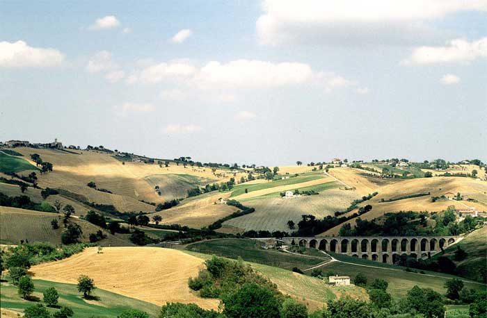 Le colline marchigiane