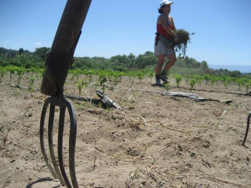 Cooperativa Valle del Marro