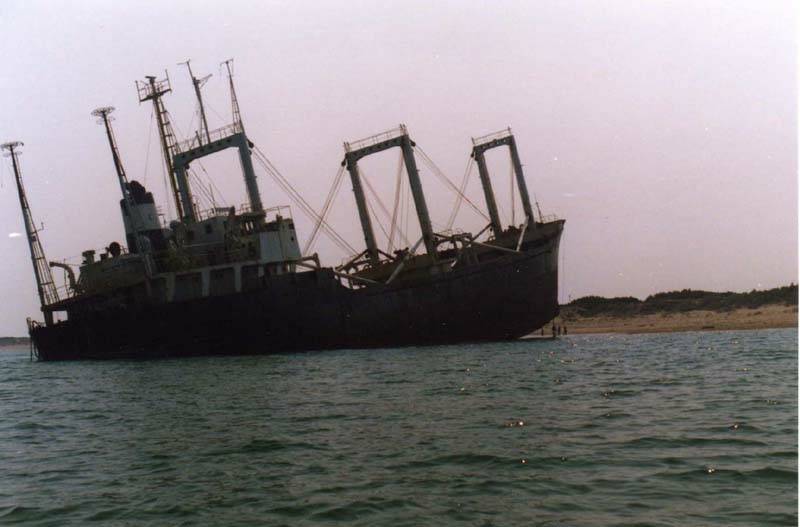 Nave dei veleni