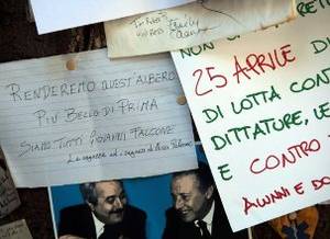 Immagine Albero Falcone