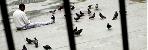 Migranti