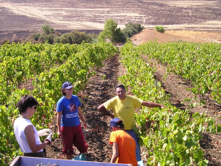 Indagine della Corte dei Conti sui beni confiscati