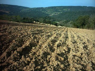 Beni confiscati