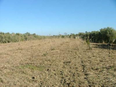 Terreno agricolo