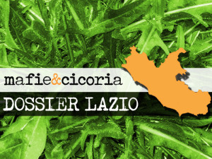cicoria