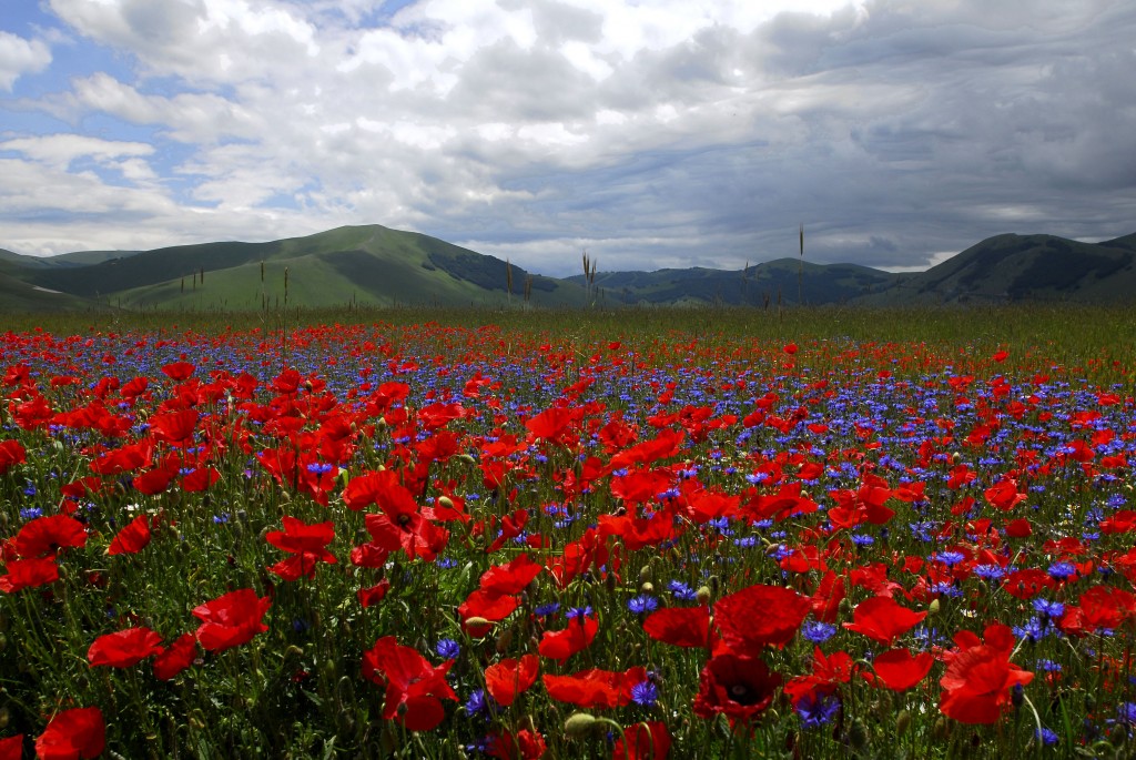 Umbria