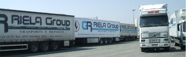 Riela interna