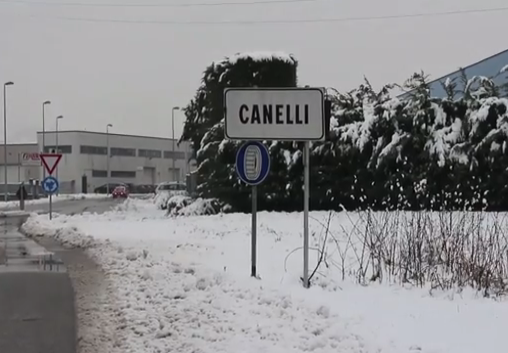 Canelli