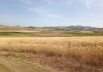 2. IMG_2691