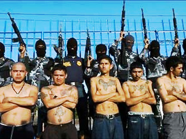 Cartel drugs