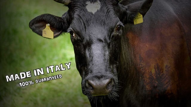 Global warming Made in Italy: realizziamo questo reportage!
