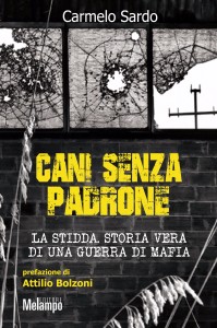cani-senza-padrone