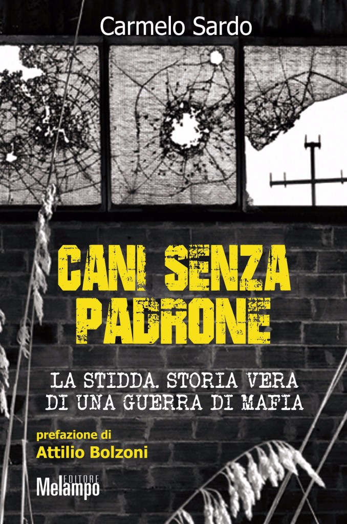 Cani senza padrone