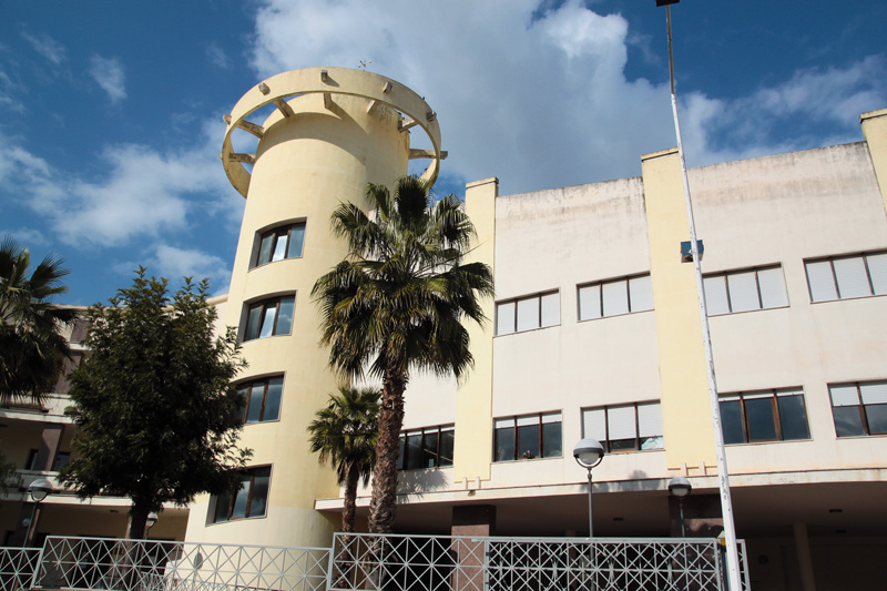 Comune parabita vista frontale