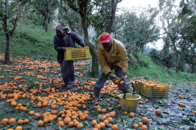 Oltre lo sfruttamento