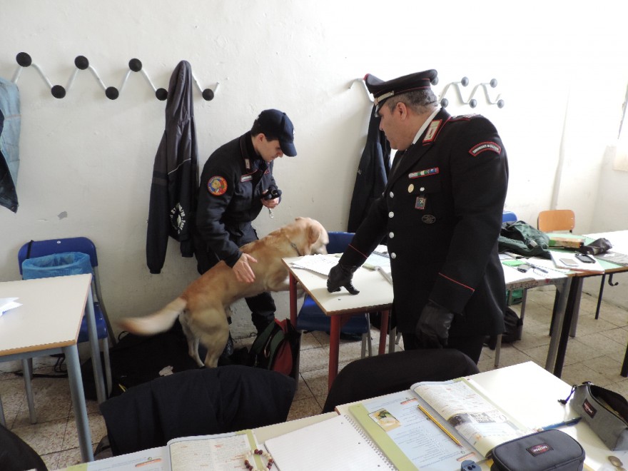 Troppi spacciatori di droghe intorno alle nostre scuole