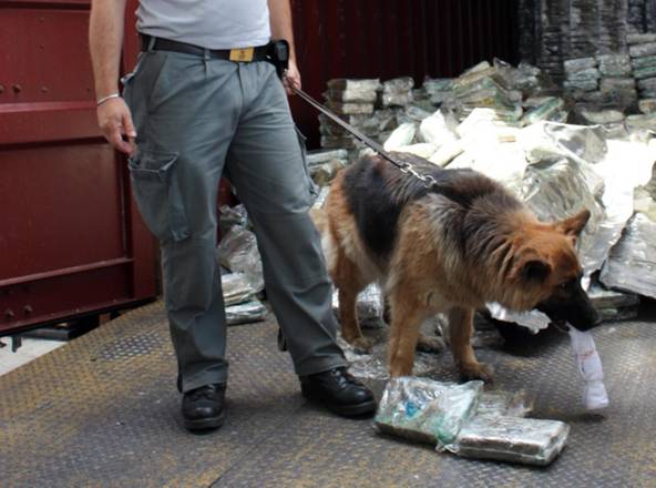 Flash sull’antidroga nazionale nell’anno che volge al termine