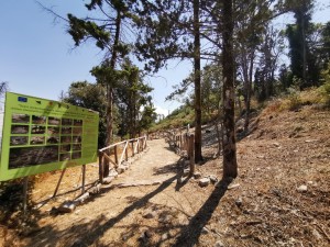 z estate liberi monte bonifato (7)
