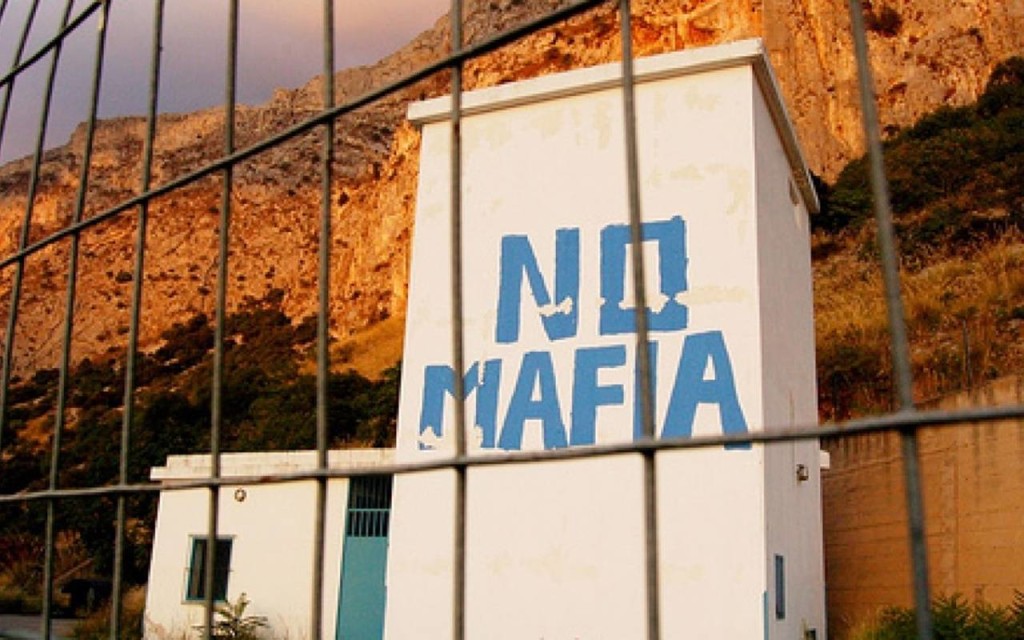 No mafia
