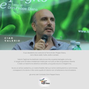 valerio taglione