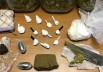 roma antidroga