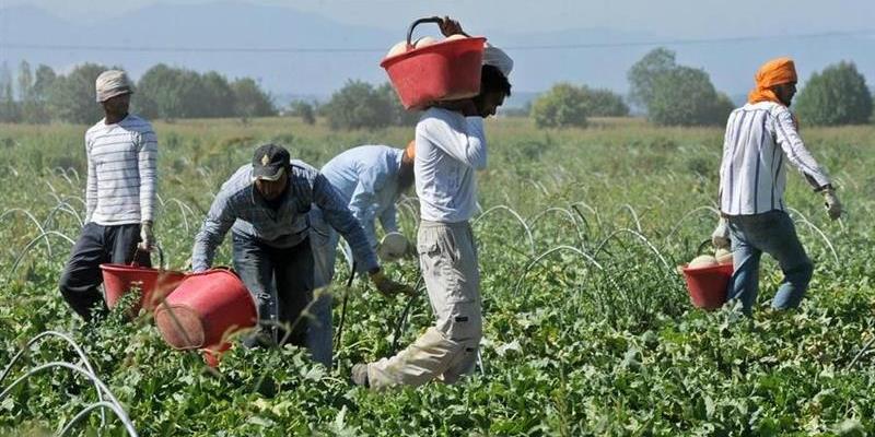 Migranti braccianti
