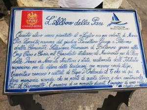 albero pace via d'amelio