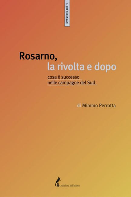Rosarno, la rivolta e dopo