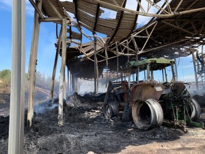 suvignano incendio agosto 2020