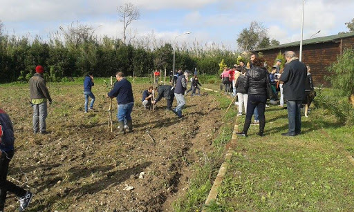 Terre ioniche