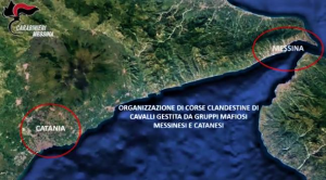 messina cavalli