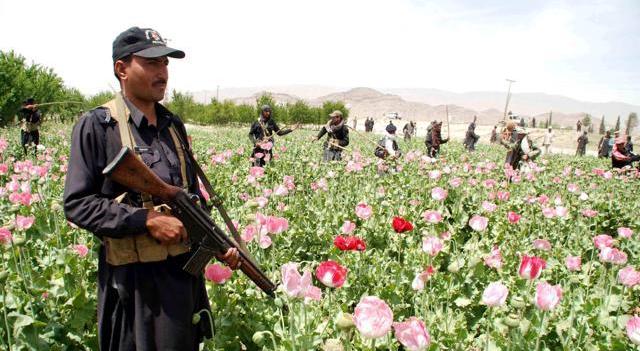 Pakistan droga