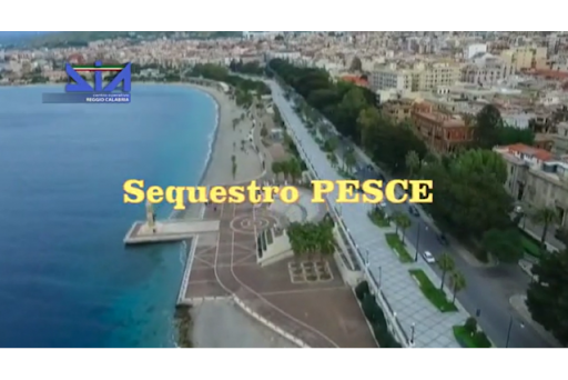 Rosarno (RC), sequestrati beni per 2 mln euro ad esponente di spicco della cosca Pesce