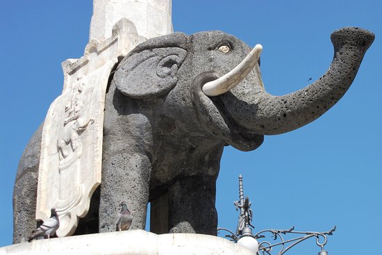 Elefante catania