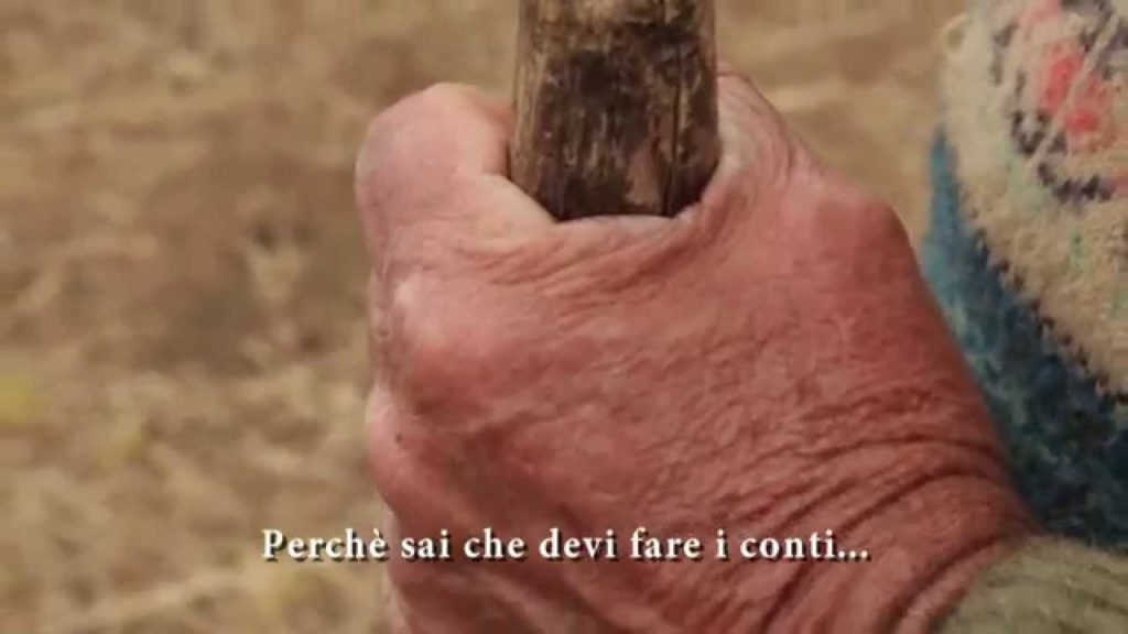 Fondi rubati all’agricoltura: parte il maxi processo