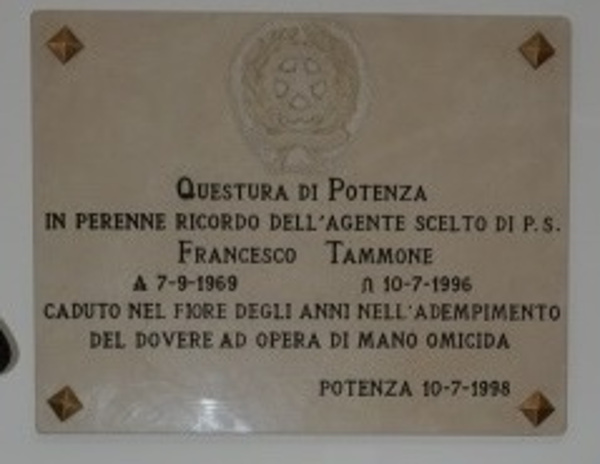 Potenza tammone