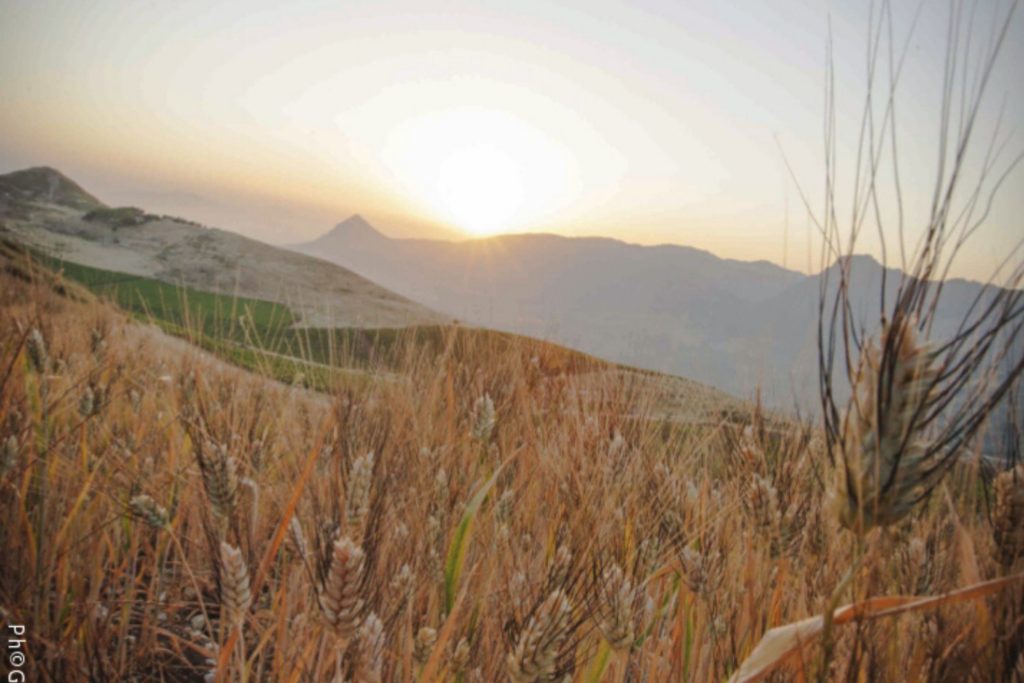 Foto Alba Grano Salvatori Orizzontale