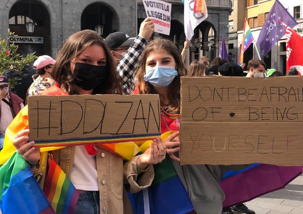 Ddl zan