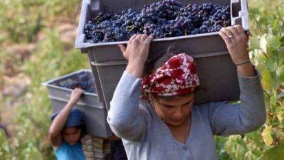 Lavoratrici agro pontino