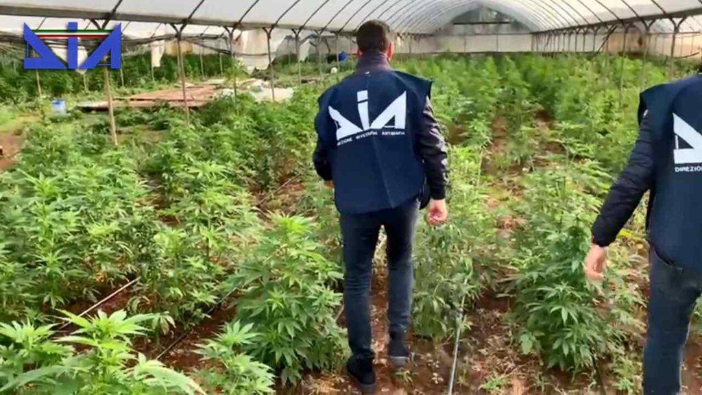 Operazione antidroga zemra