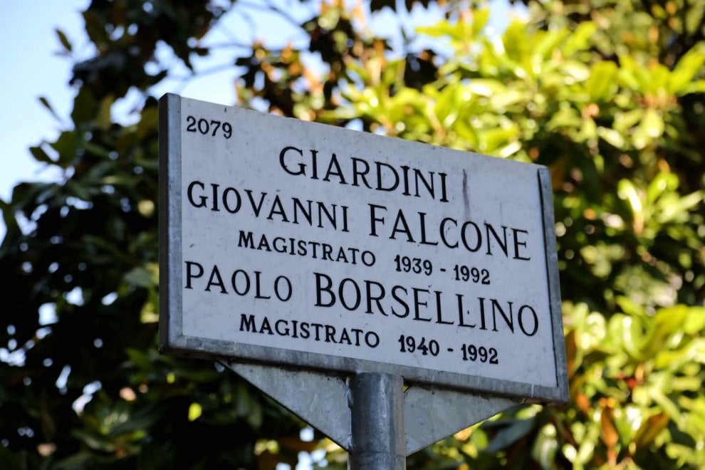 Albero falcone e borsellino