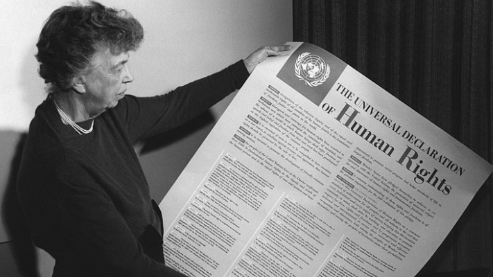 Diritti umani dichiarazione universale