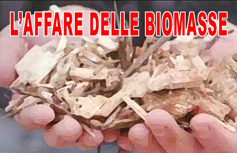 Biomasse fuoritg