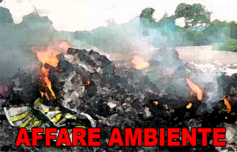 Fuoritg3 ambiente