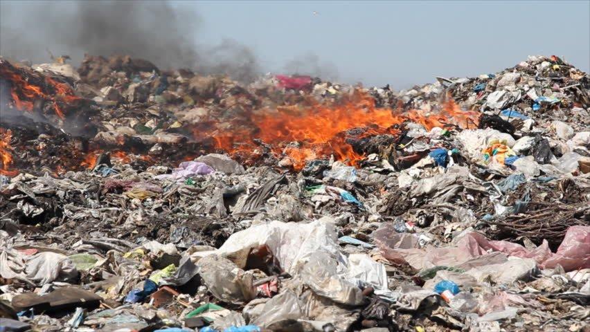Ecomafie