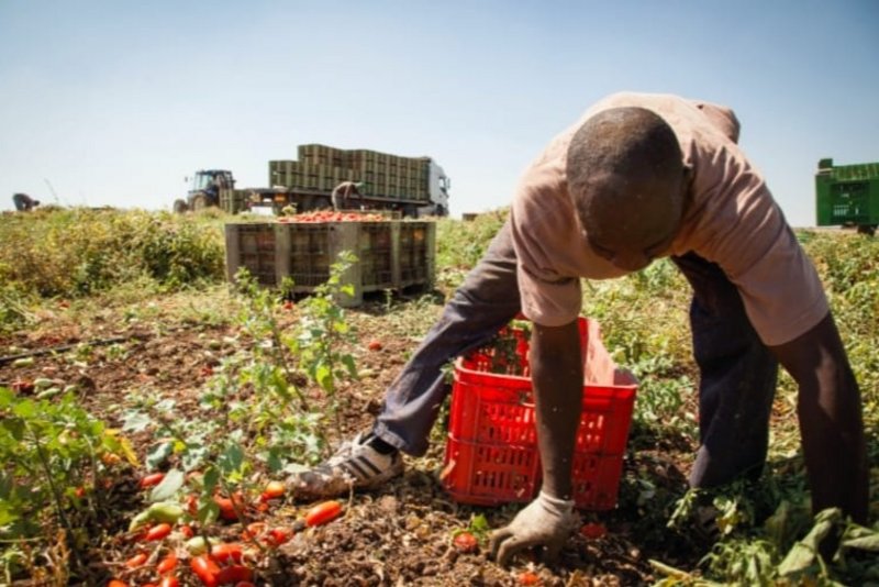 Migranti e lavoro nero