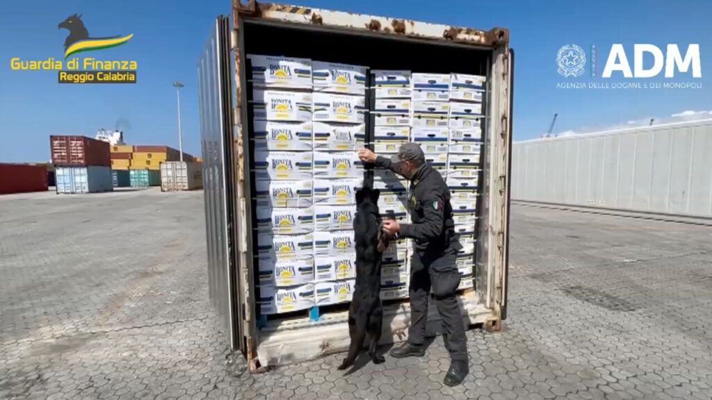 Cocaina sequestro cane antidroga