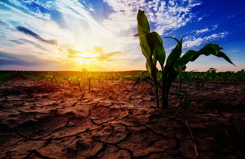 Climate change